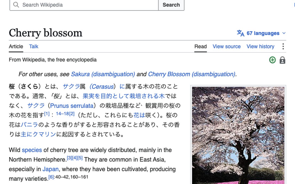 A Wikipedia paragraph translated in place by the extension